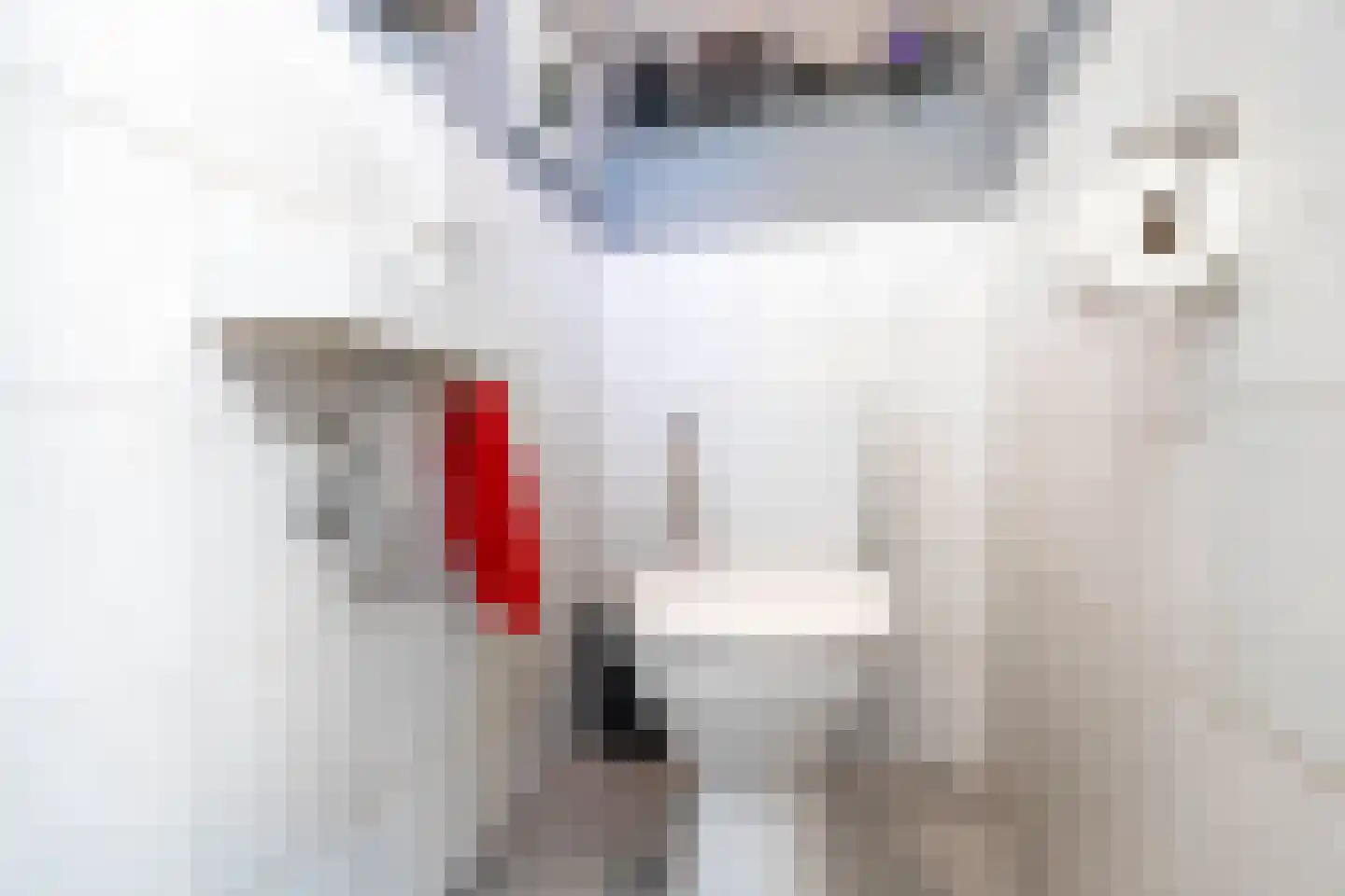 Atlasvlinder 6 Leiden thumbnail 31