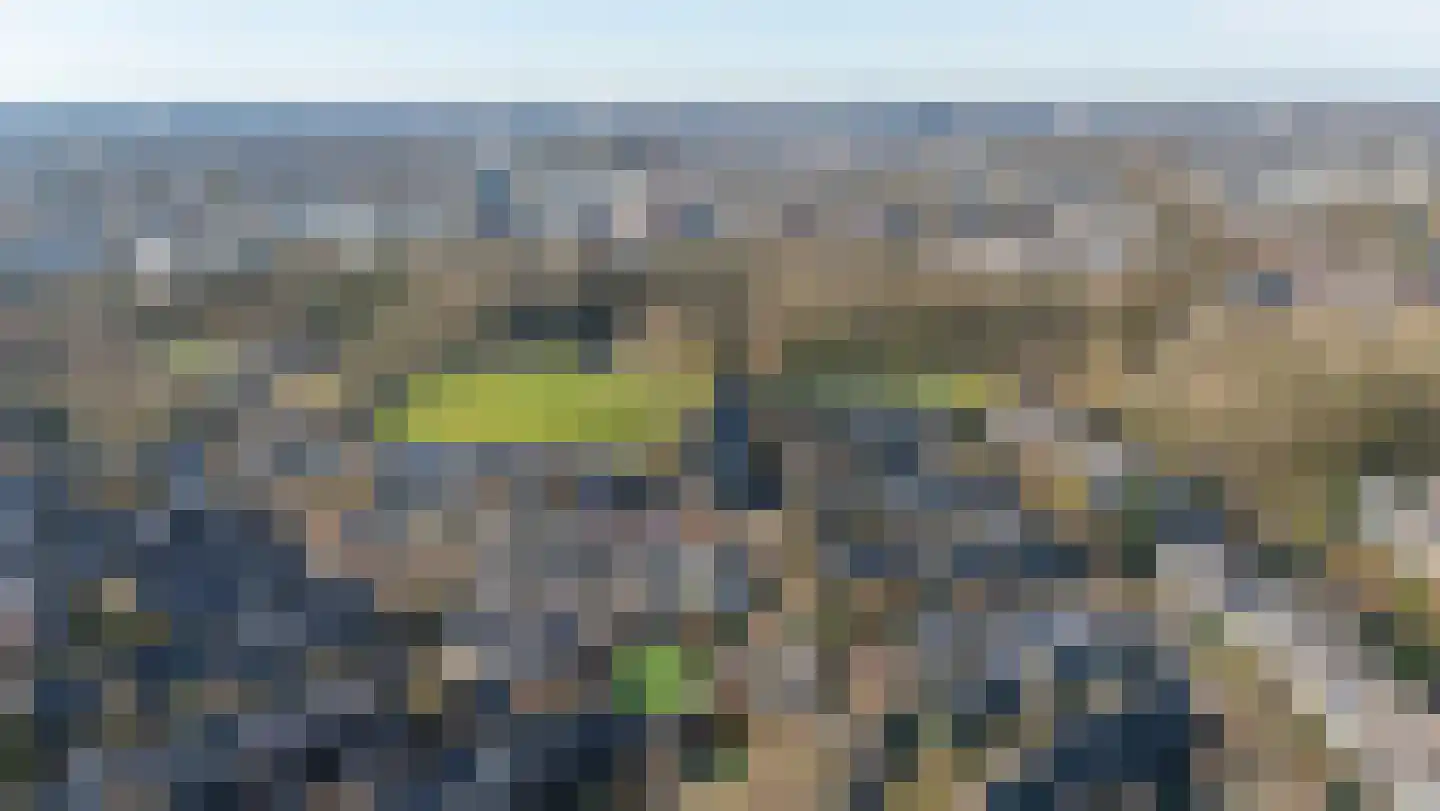 Atlasvlinder 6 Leiden thumbnail 32