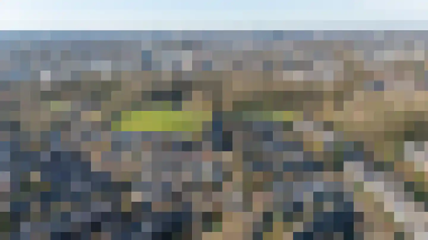 Atlasvlinder 6 Leiden thumbnail 33