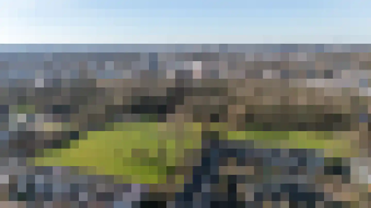Atlasvlinder 6 Leiden thumbnail 34