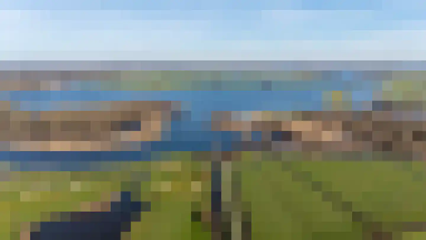 Atlasvlinder 6 Leiden thumbnail 35