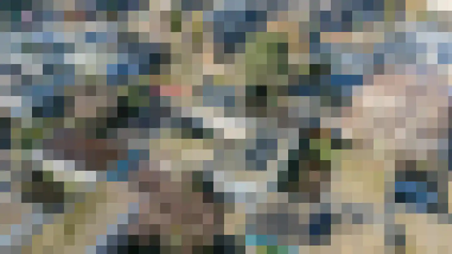 Atlasvlinder 6 Leiden thumbnail 36