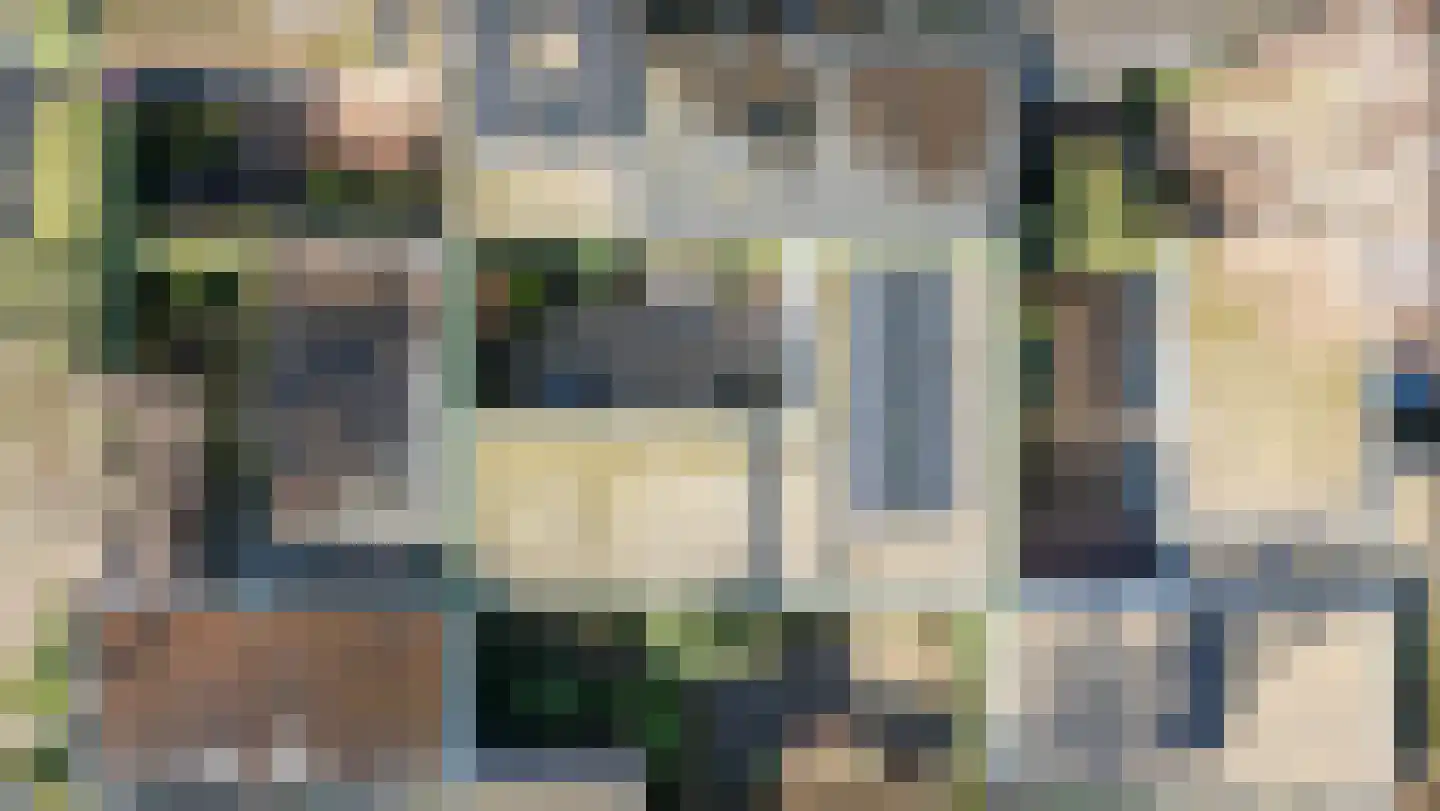 Atlasvlinder 6 Leiden thumbnail 37
