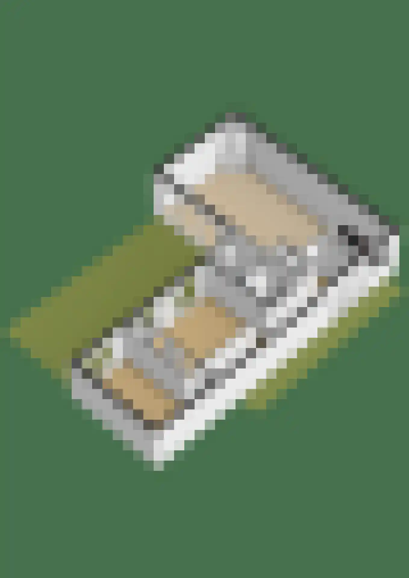 Atlasvlinder 6 Leiden thumbnail 48