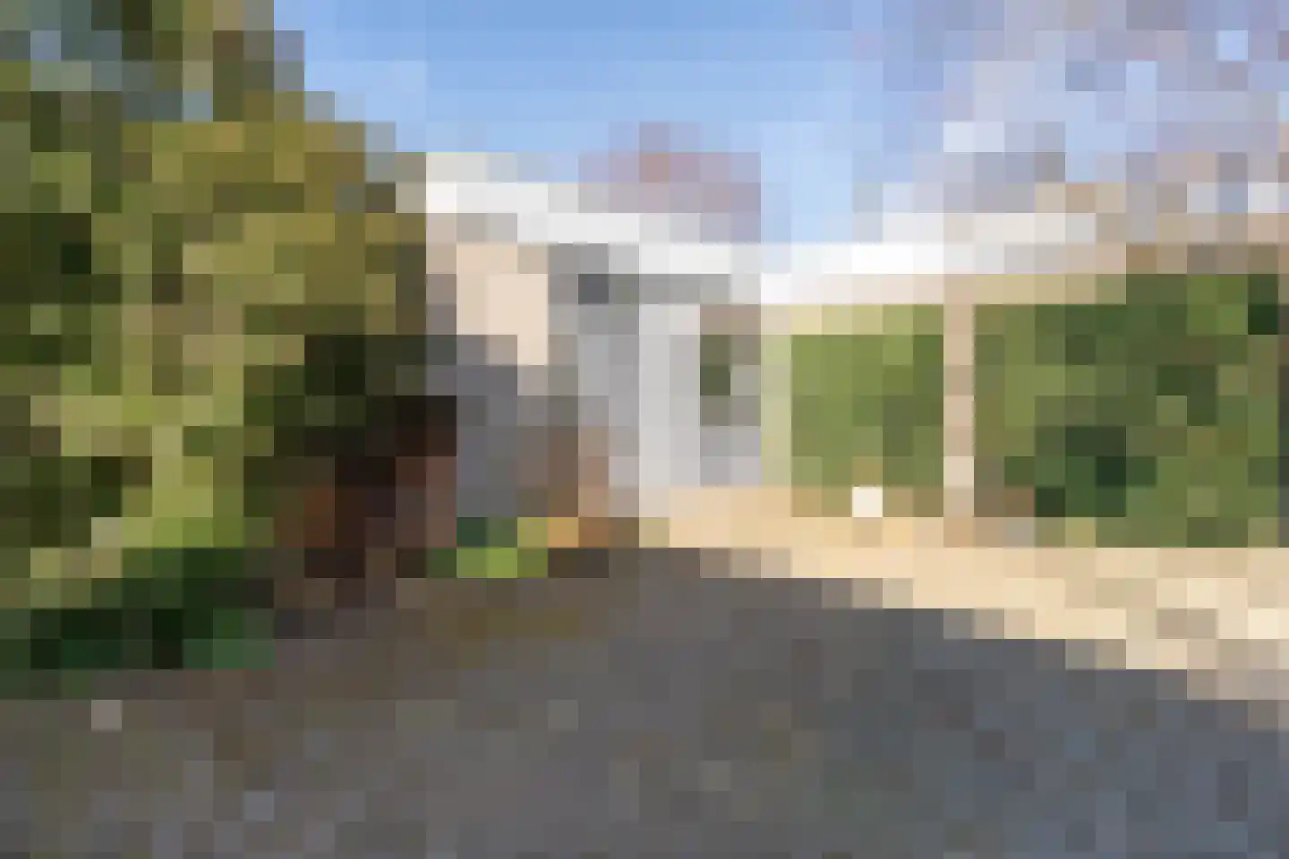 Atlasvlinder 6 Leiden thumbnail 6