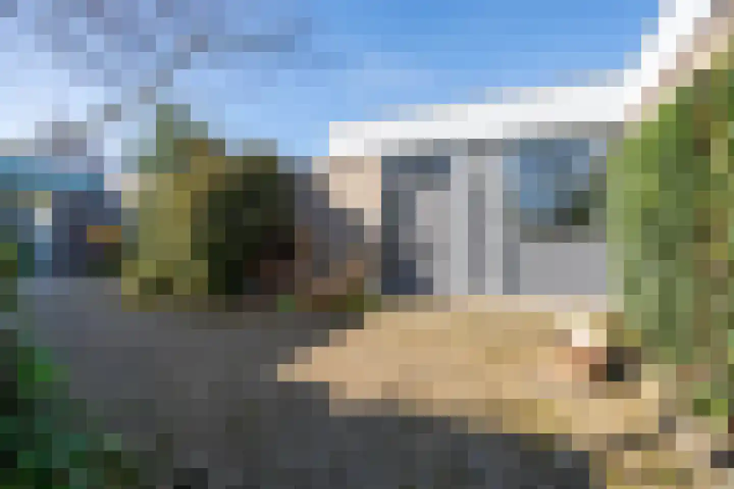 Atlasvlinder 6 Leiden thumbnail 7