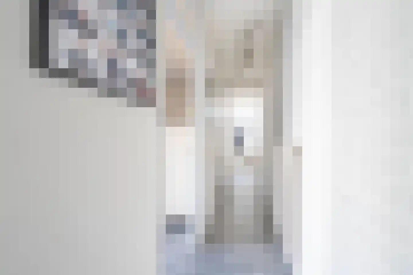 Atlasvlinder 6 Leiden thumbnail 8
