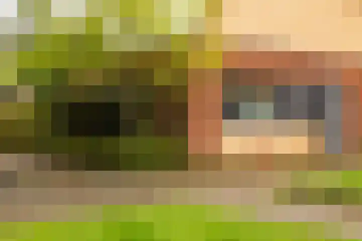 Atlasvlinder 64 dans Enschede