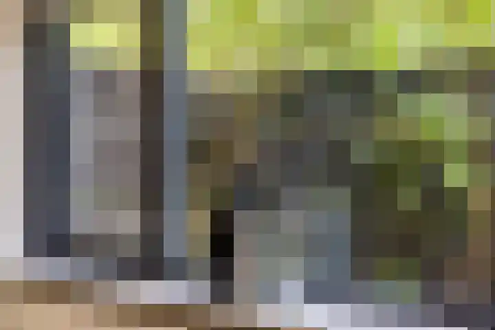 Atlasvlinder 64 Enschede thumbnail 10