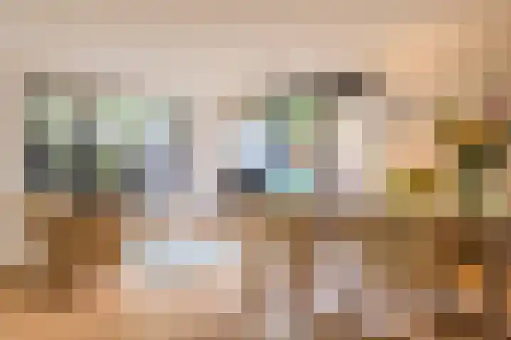 Atlasvlinder 64 Enschede thumbnail 12