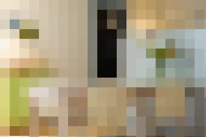 Atlasvlinder 64 Enschede thumbnail 13