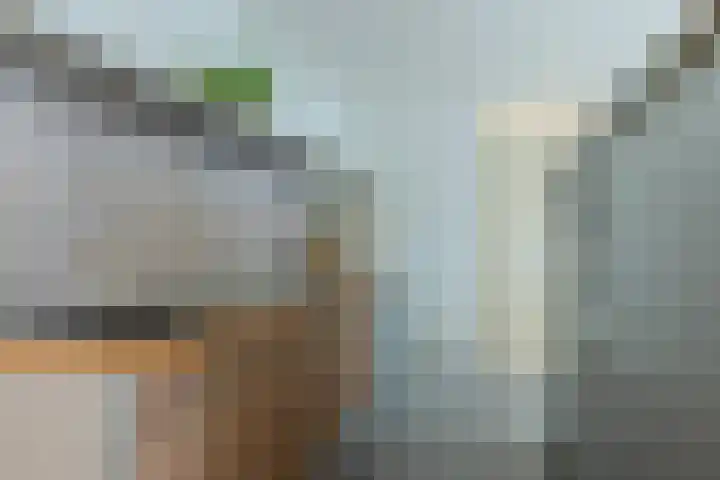 Atlasvlinder 64 Enschede thumbnail 14