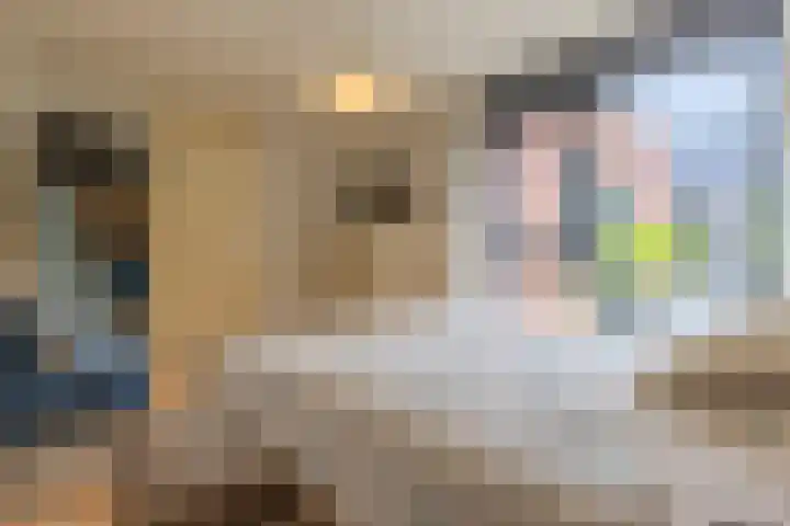 Atlasvlinder 64 Enschede thumbnail 18