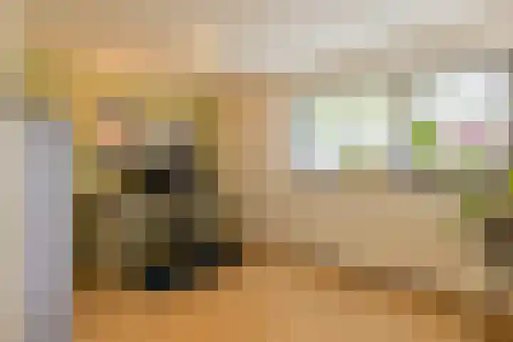 Atlasvlinder 64 Enschede thumbnail 19