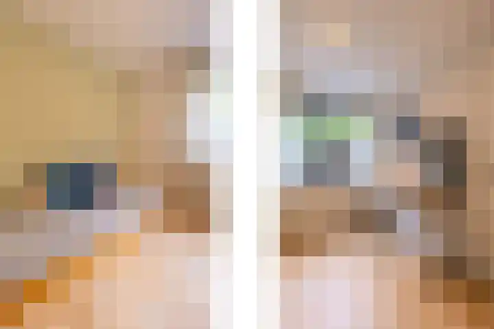 Atlasvlinder 64 Enschede thumbnail 20