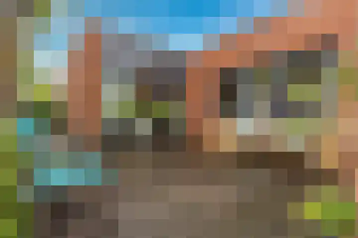 Atlasvlinder 64 Enschede thumbnail 22