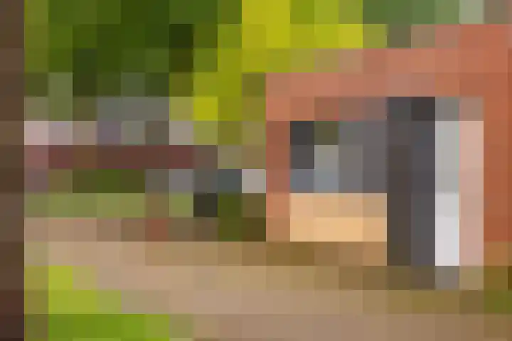 Atlasvlinder 64 Enschede thumbnail 24