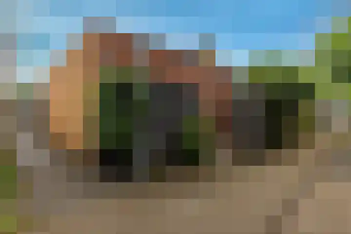 Atlasvlinder 64 Enschede thumbnail 25