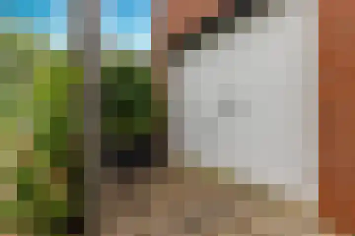 Atlasvlinder 64 Enschede thumbnail 26
