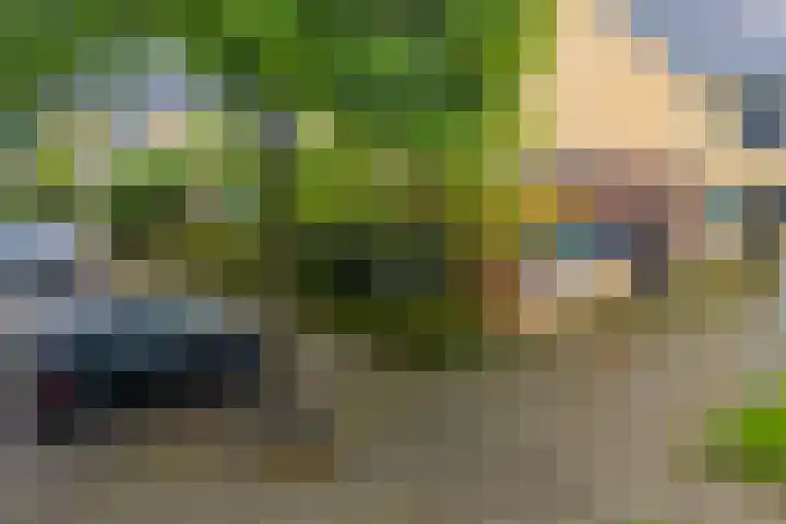 Atlasvlinder 64 Enschede thumbnail 28