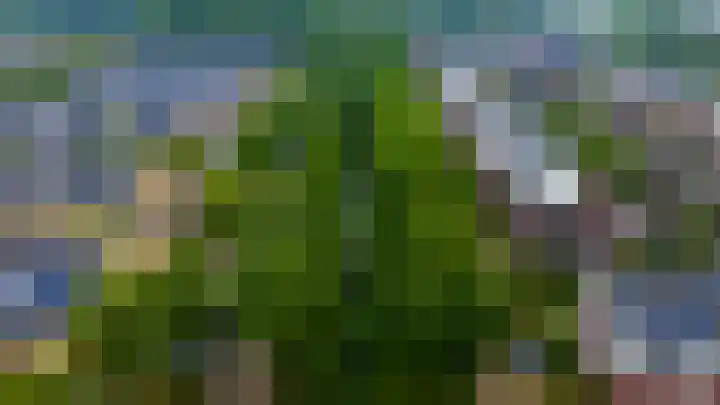 Atlasvlinder 64 Enschede thumbnail 32
