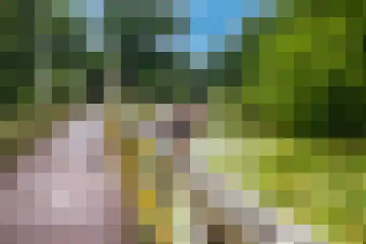 Atlasvlinder 64 Enschede thumbnail 35