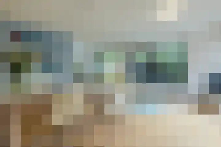 Atlasvlinder 64 Enschede thumbnail 4