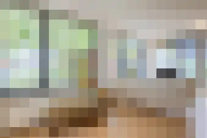 Atlasvlinder 64 Enschede thumbnail 8