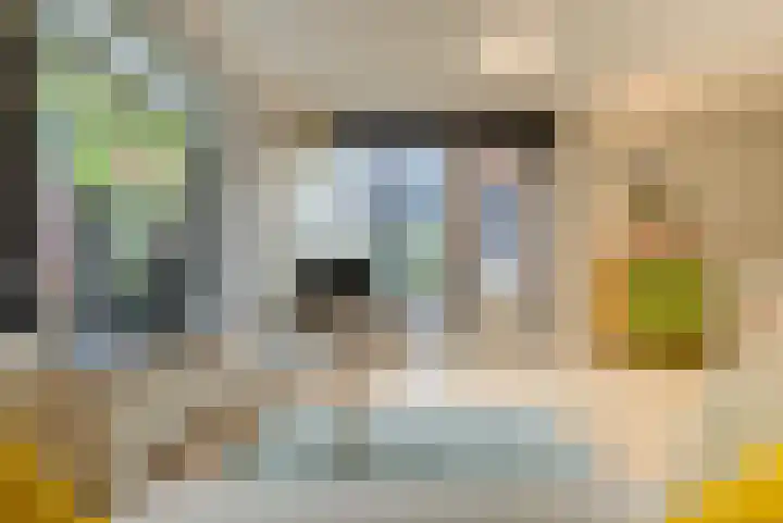Atlasvlinder 64 Enschede thumbnail 9