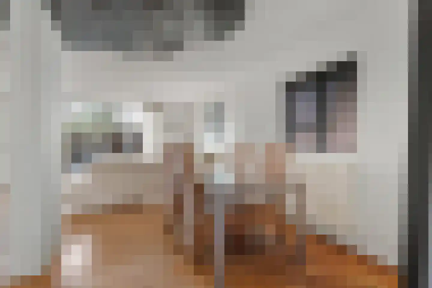 Atlasvlinder 74 Amersfoort thumbnail 11