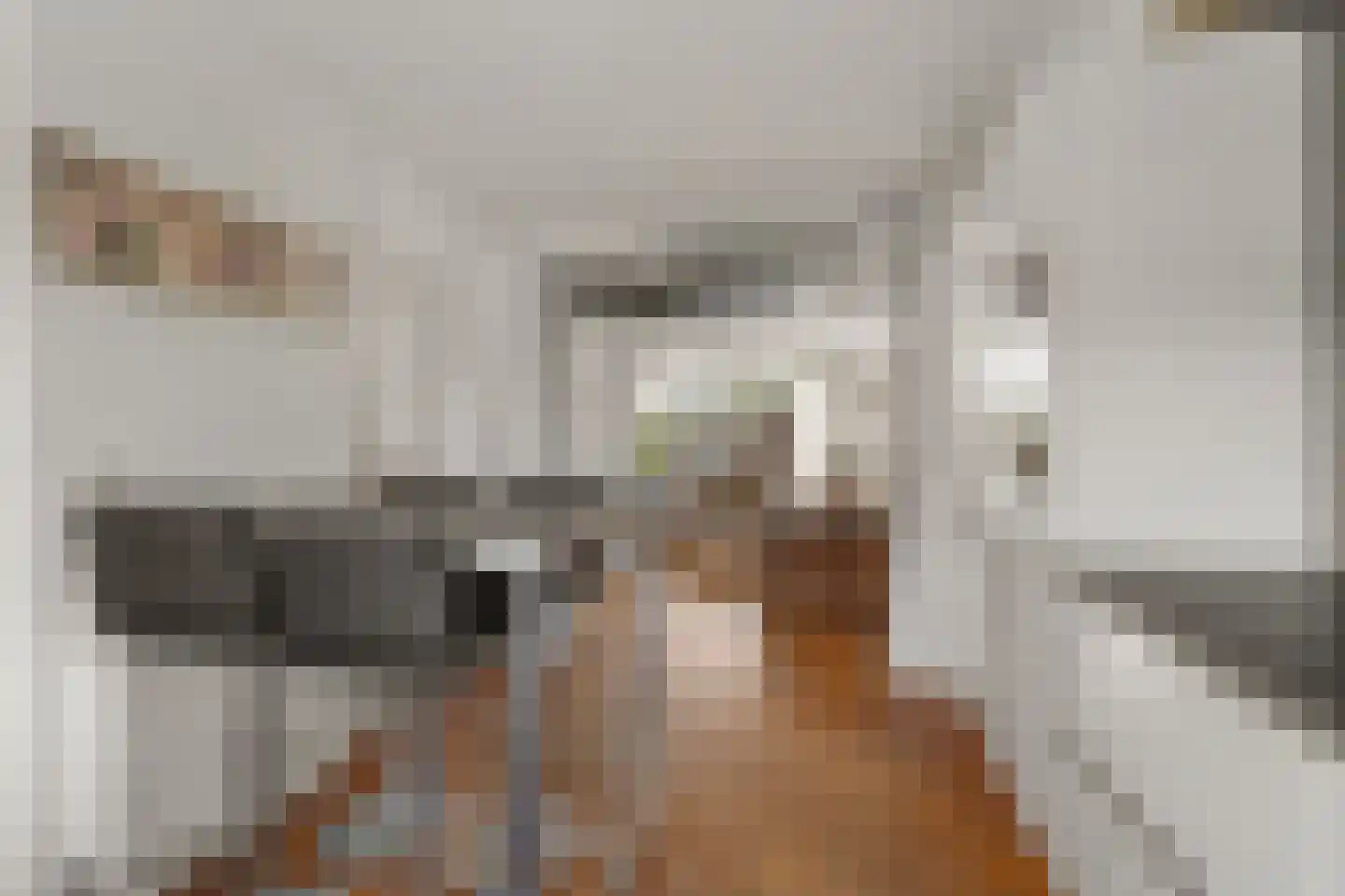 Atlasvlinder 74 Amersfoort thumbnail 14