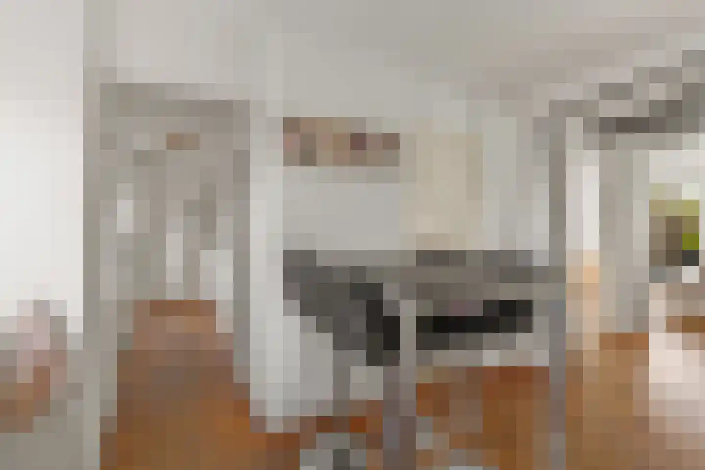 Atlasvlinder 74 Amersfoort thumbnail 15