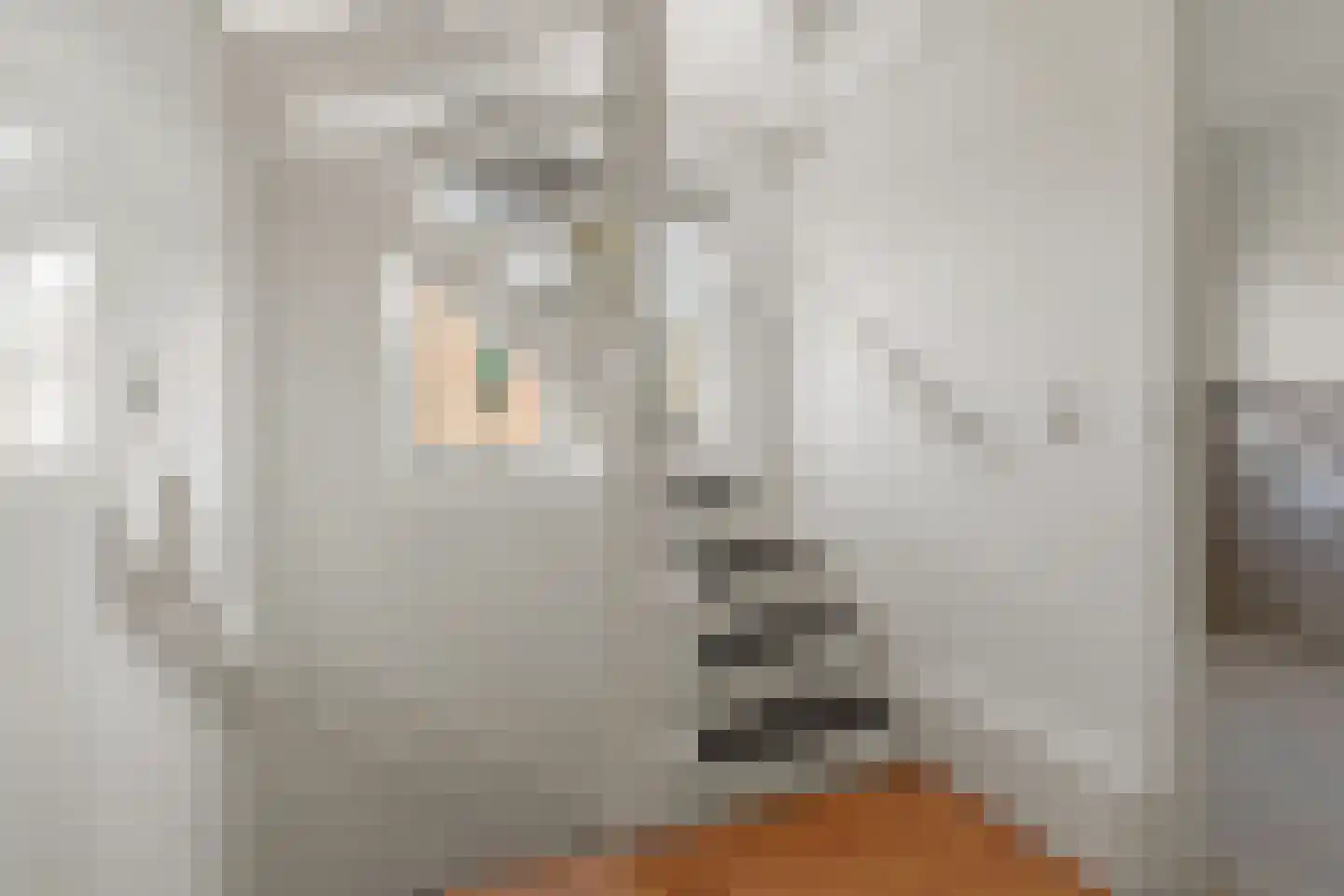 Atlasvlinder 74 Amersfoort thumbnail 16