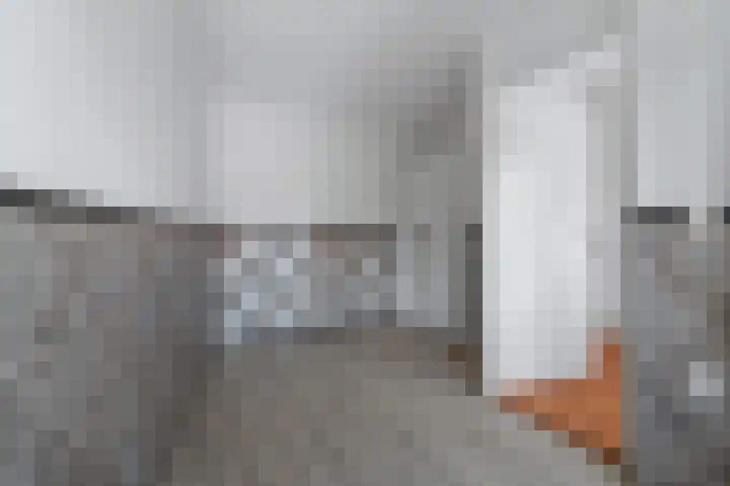 Atlasvlinder 74 Amersfoort thumbnail 24