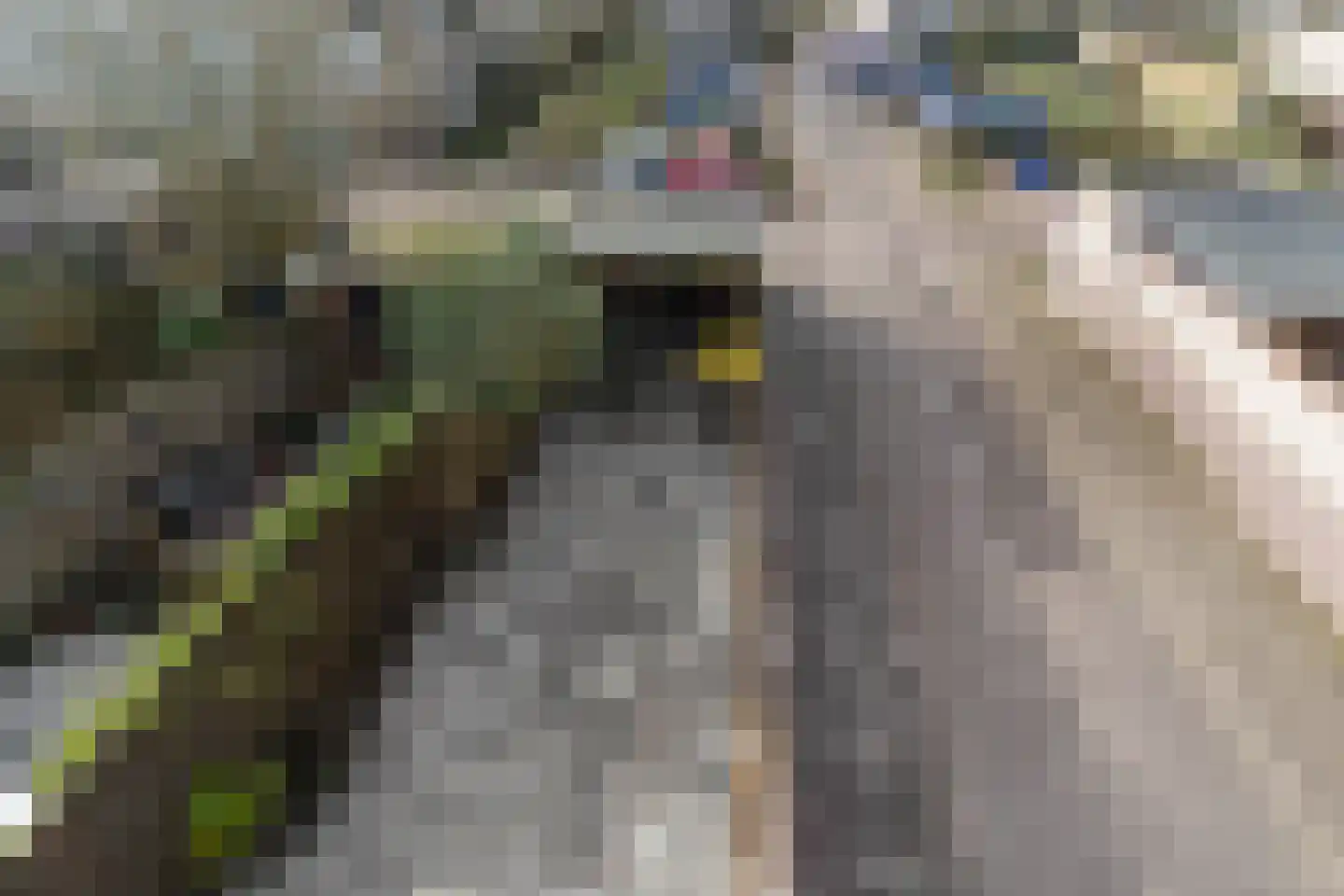 Atlasvlinder 74 Amersfoort thumbnail 35