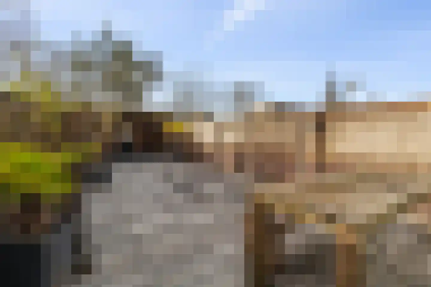 Atlasvlinder 74 Amersfoort thumbnail 38
