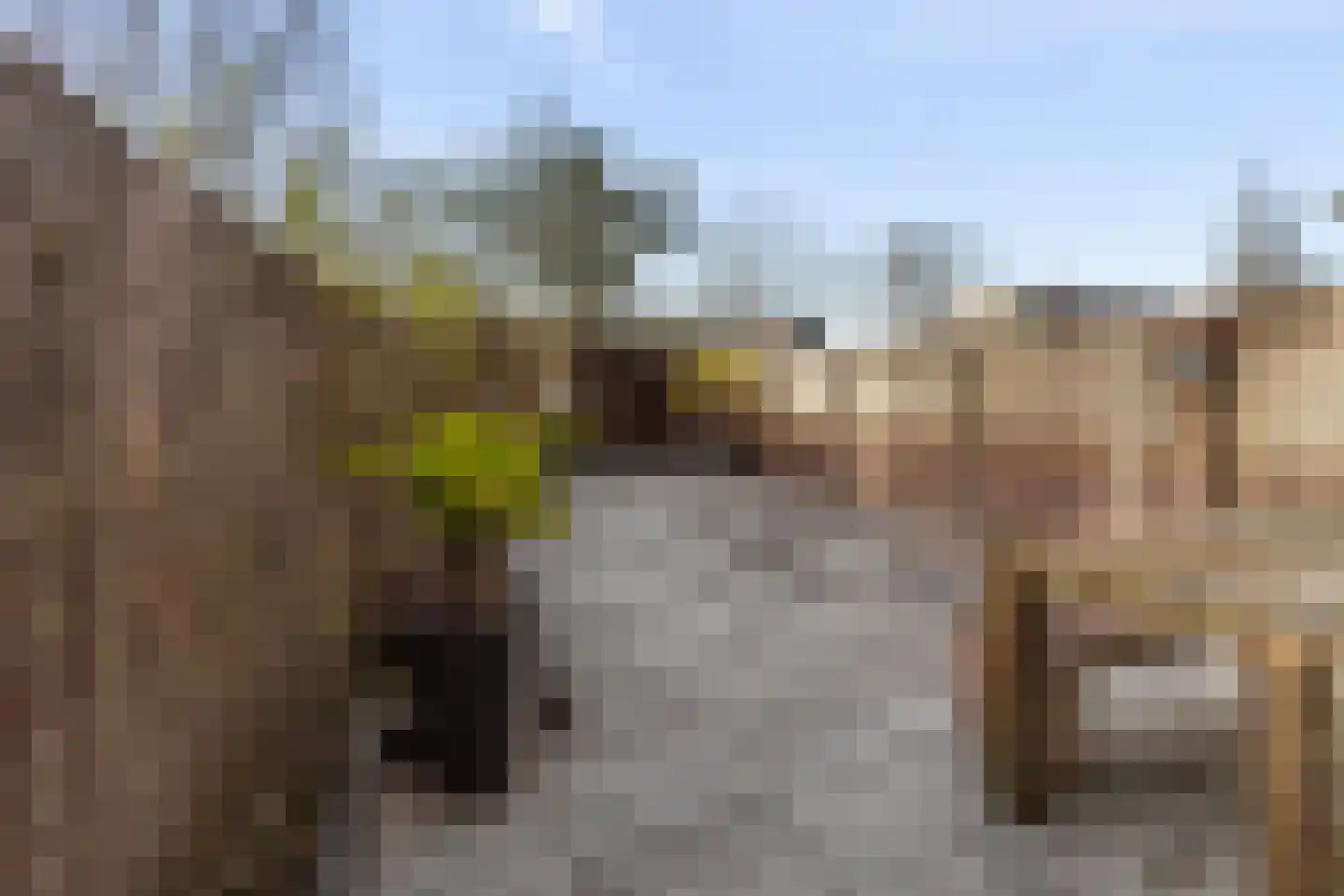 Atlasvlinder 74 Amersfoort thumbnail 4