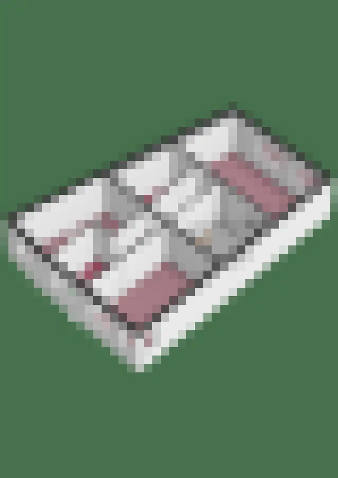 Atlasvlinder 74 Amersfoort thumbnail 48
