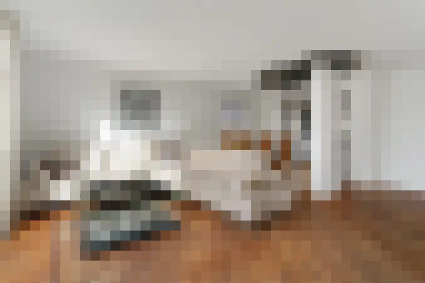 Atlasvlinder 74 Amersfoort thumbnail 8