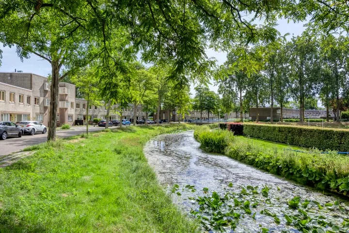 Atlasvlinder 78 Amersfoort thumbnail 39