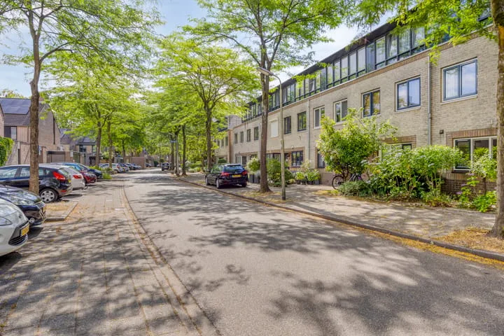 Atlasvlinder 78 Amersfoort thumbnail 8