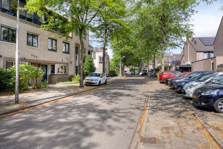 Atlasvlinder 78 Amersfoort thumbnail 9