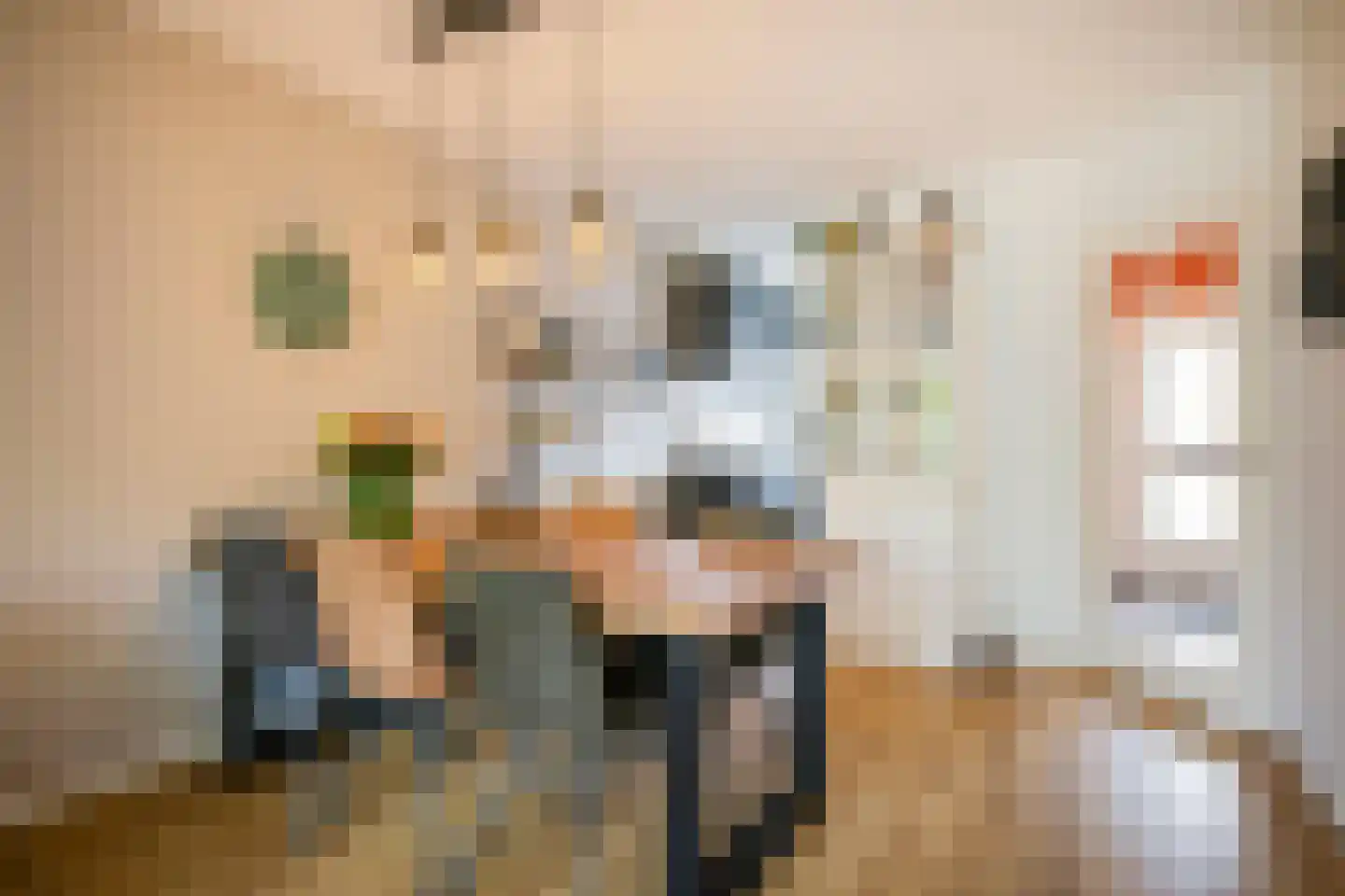 Atlasvlinder 92 Amersfoort thumbnail 17