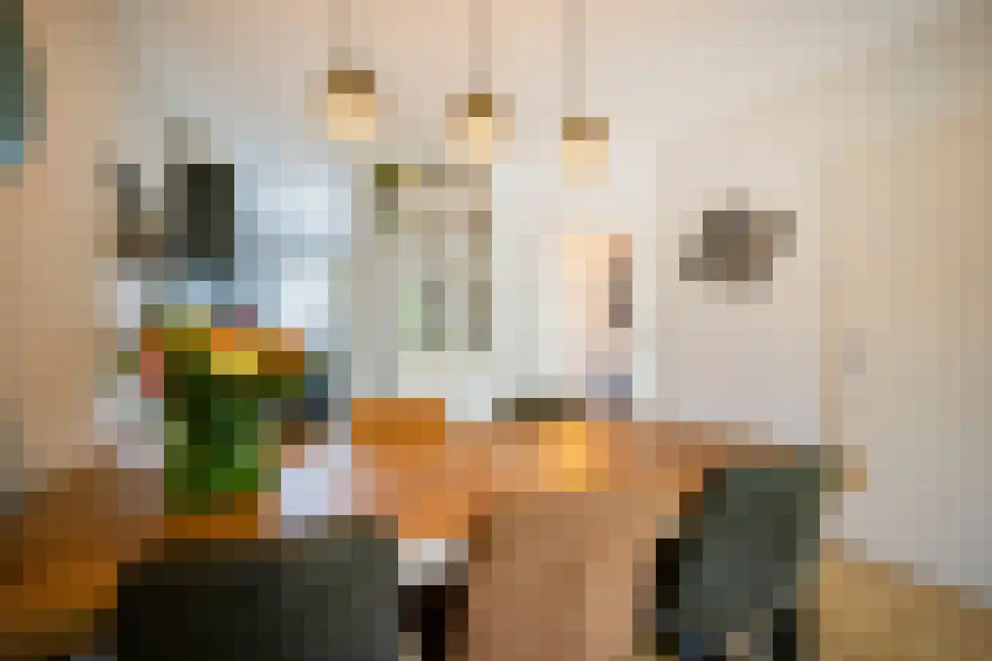 Atlasvlinder 92 Amersfoort thumbnail 18