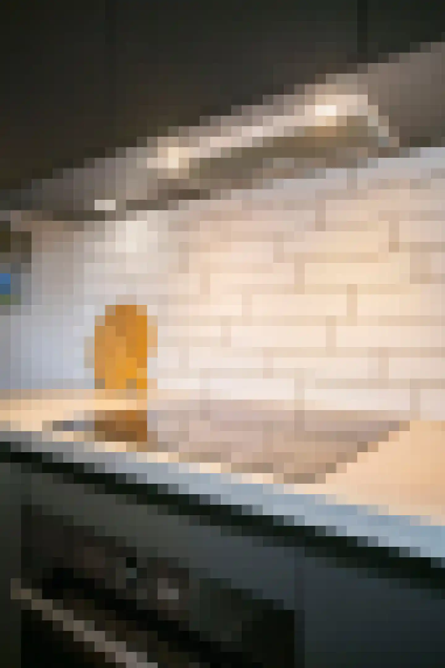Atlasvlinder 92 Amersfoort thumbnail 22
