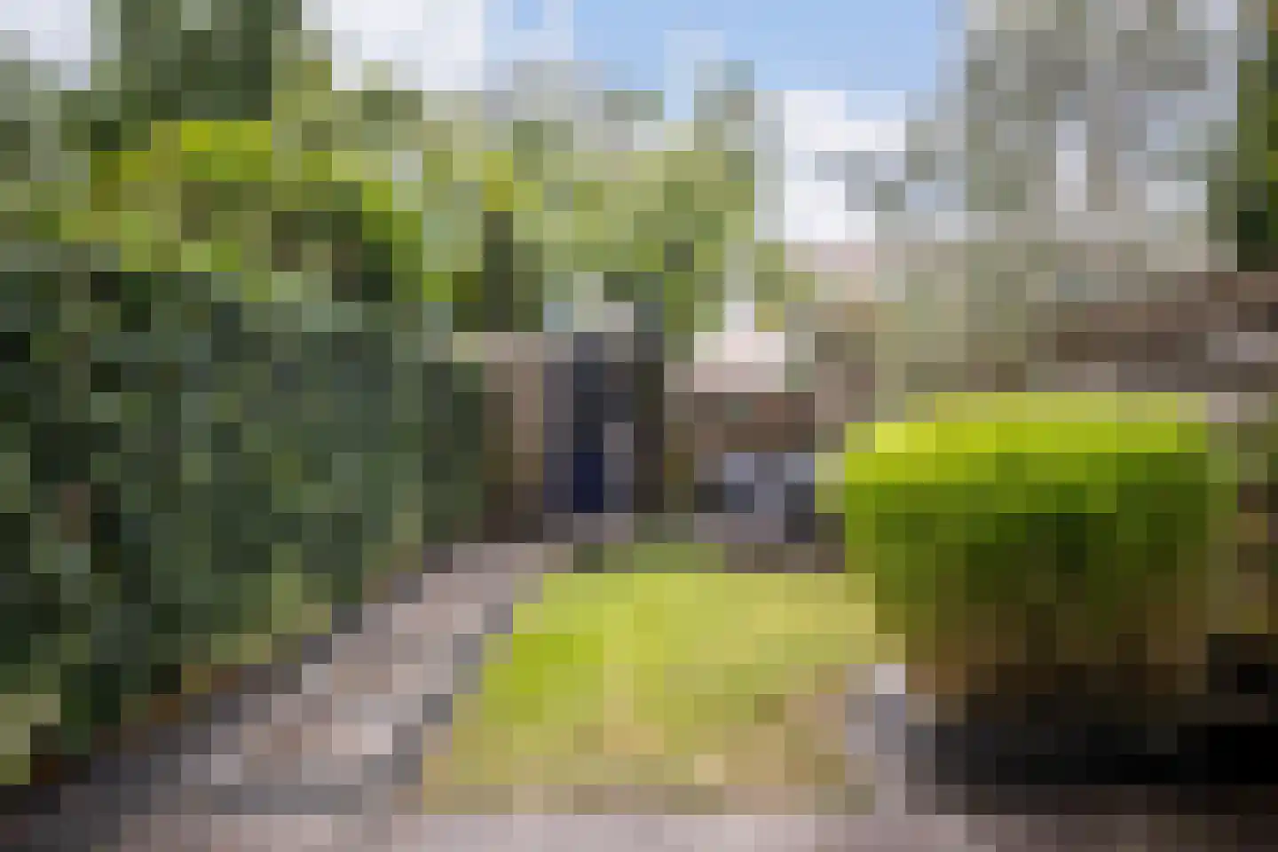 Atlasvlinder 92 Amersfoort thumbnail 24