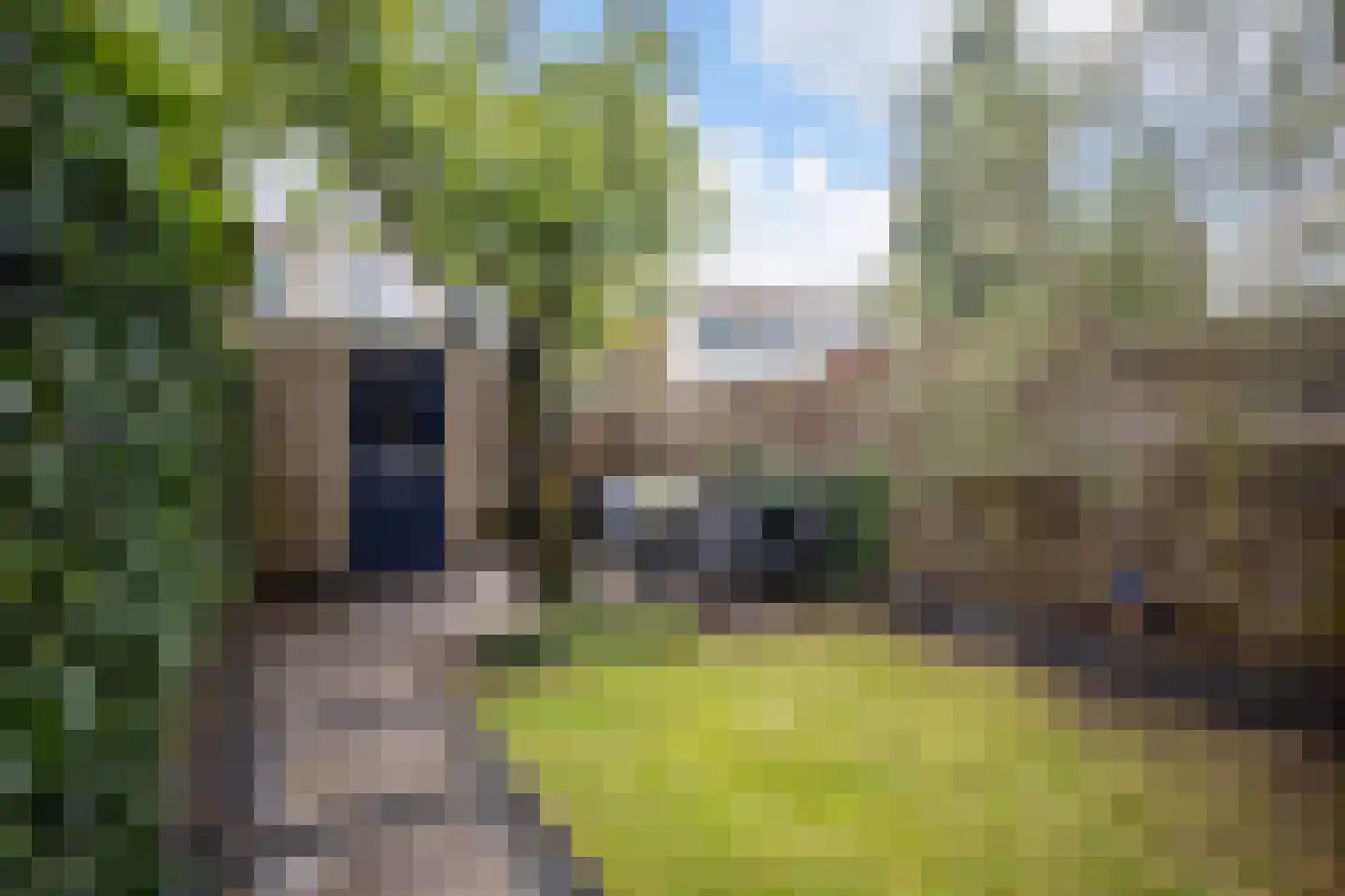 Atlasvlinder 92 Amersfoort thumbnail 25