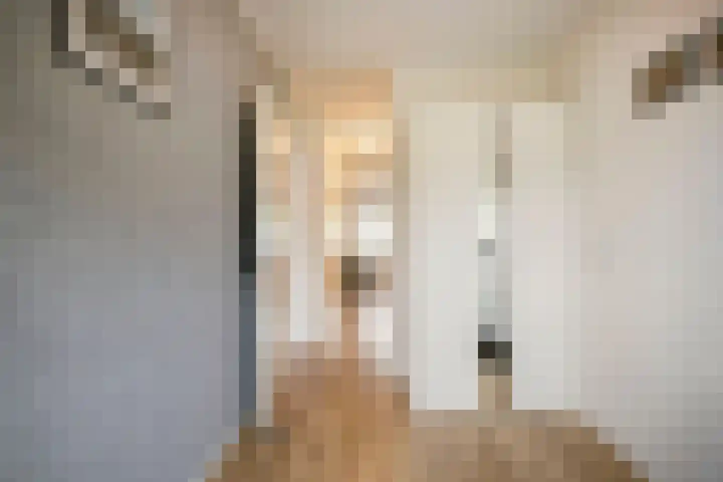 Atlasvlinder 92 Amersfoort thumbnail 36