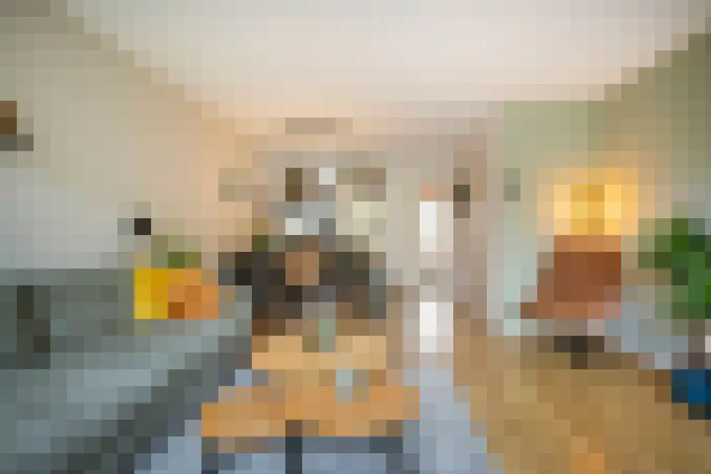 Atlasvlinder 92 Amersfoort thumbnail 4