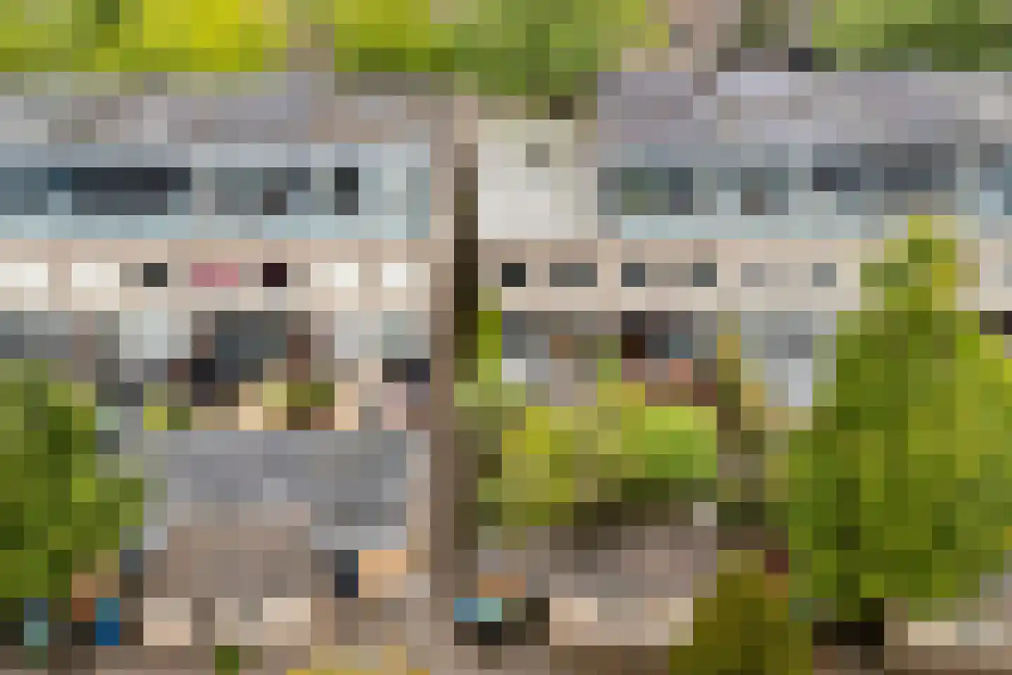 Atlasvlinder 92 Amersfoort thumbnail 46